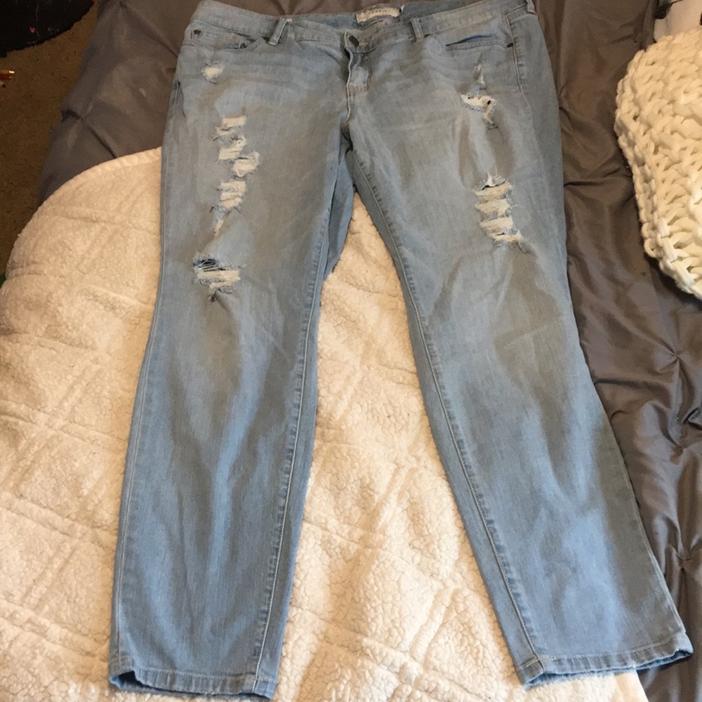 Torrid jeans